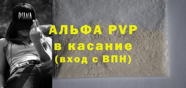 индика Белокуриха