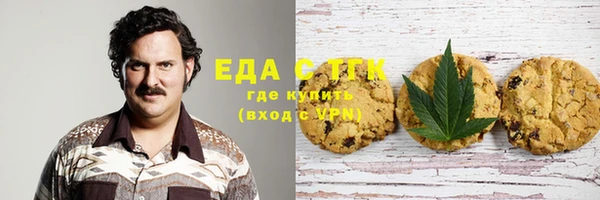 индика Белокуриха