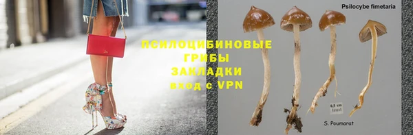 СК Беломорск
