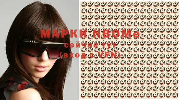 индика Белокуриха