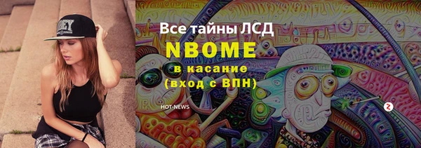 индика Белокуриха