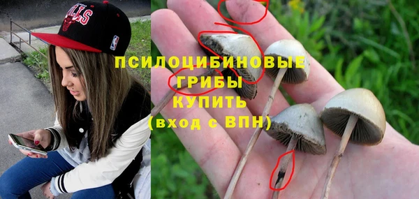 индика Белокуриха