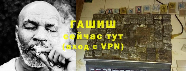индика Белокуриха