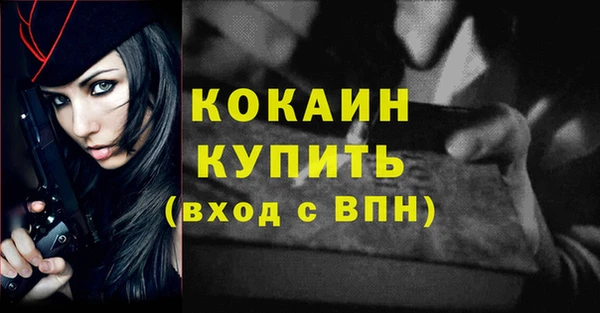 индика Белокуриха